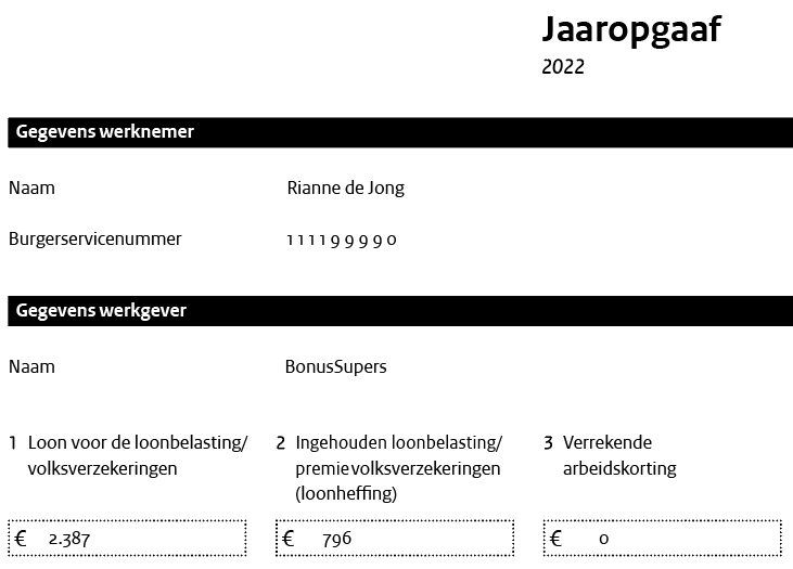 Jaaropgave voor 2022 van Rianne de Jong, hieronder link naar beschrijving voor slechtzienden